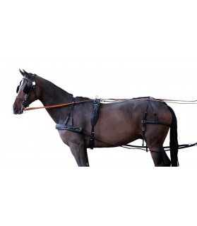 102183_harnais_simple_cuir_standard_lahalleauxminis