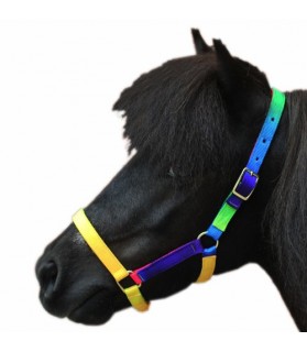 6496_licol-multicolore-shetland_lahalleauxminis