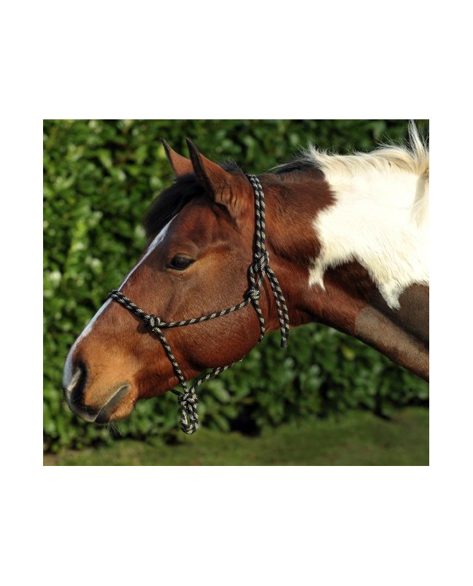 1398_licol-ethologique-corde_poney-lahalleauxminis