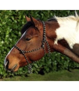 1398_licol-ethologique-corde_poney-lahalleauxminis