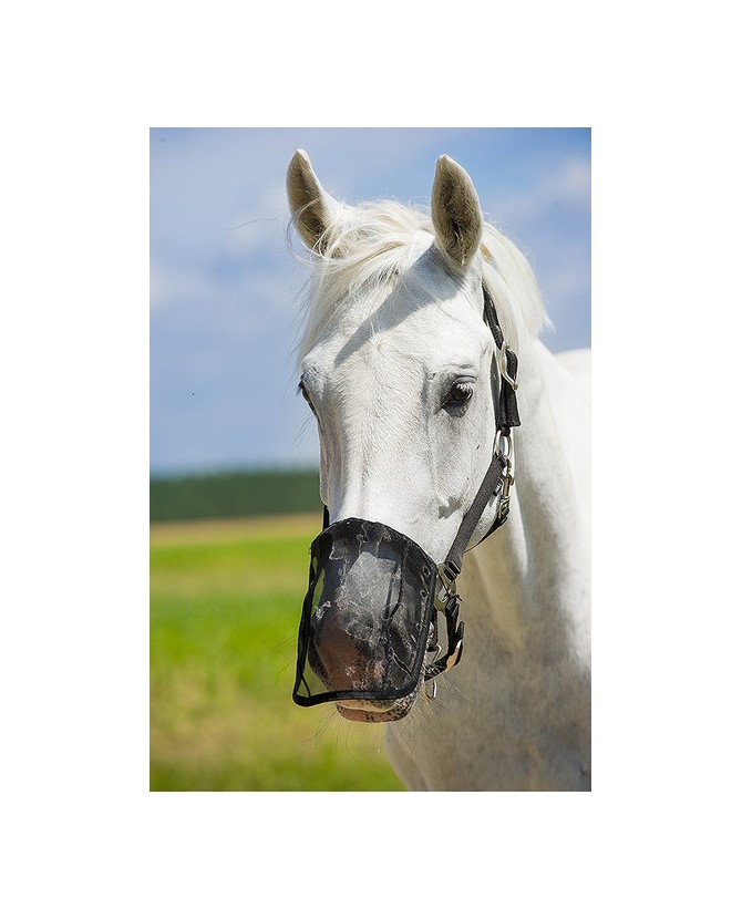 306960_nose_net_protege_naseau_poney_2_lahalleauxminis