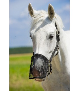306960_nose_net_protege_naseau_poney_2_lahalleauxminis