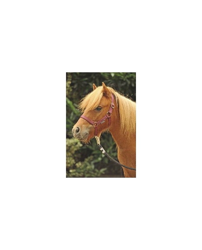 4159_licol_mini-shet-classique_nylon_lahalleauxminis