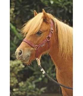 4159_licol_mini-shet-classique_nylon_lahalleauxminis