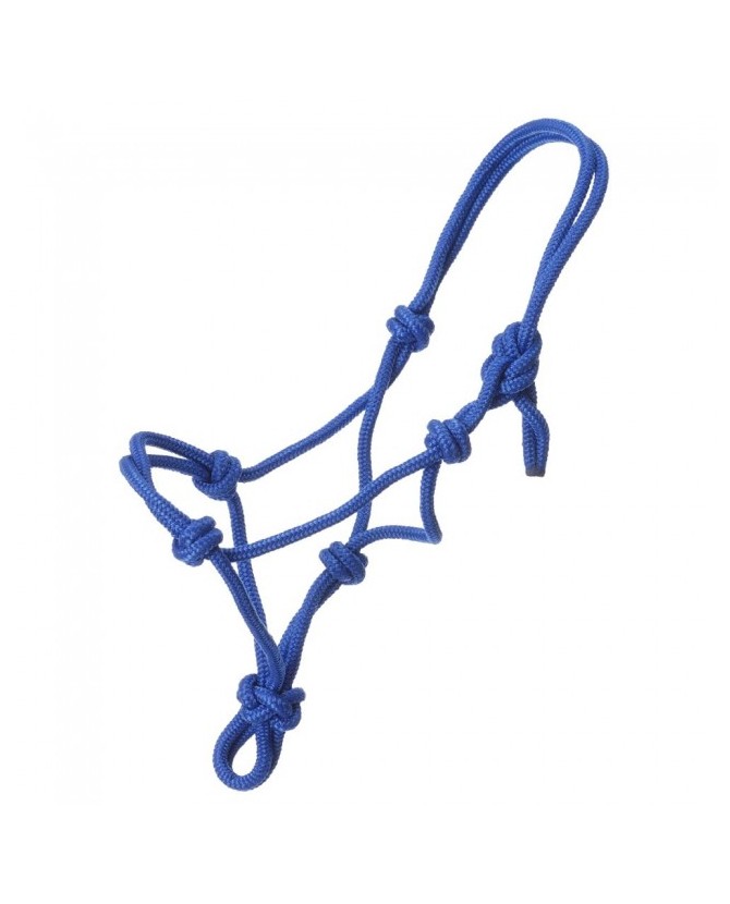 50-1000m-bleu_licol_ethologique_La-halle-aux-minis