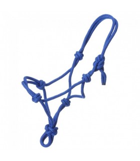 50-1000m-bleu_licol_ethologique_La-halle-aux-minis