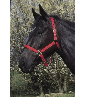 510031_Licol_poney_reglable_nylon_rouge_lahalleauxminis