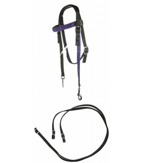 6910-ensemble_selle_western_poney_bridon_lahalleauxminis