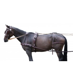 007285_harnais-presentation_solo_havane_shetland&poney_lahalleauxminis