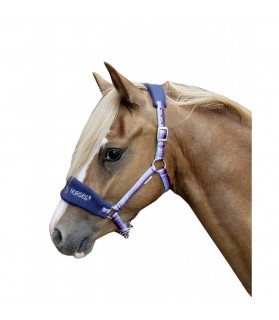 9224_licol_funny_horse_shetland_lahalleauxminis