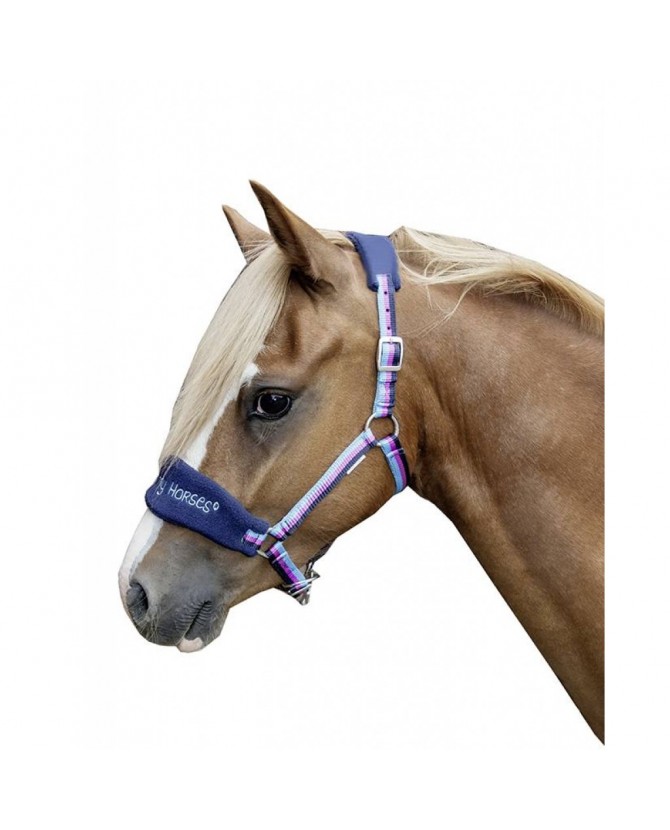 9224_licol_funny_horse_shetland_lahalleauxminis