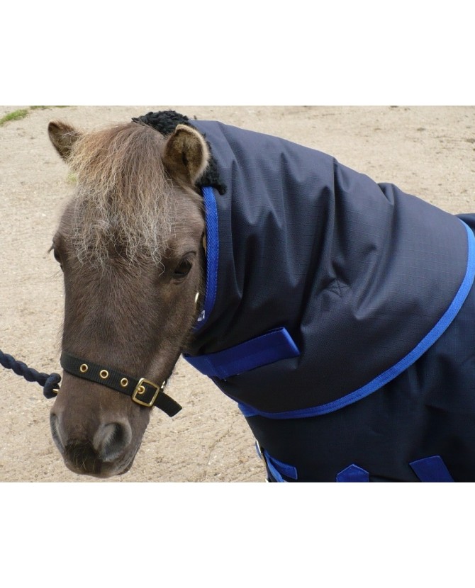 couvre_cou_bleu-shetland_poney_lahalleauxminis