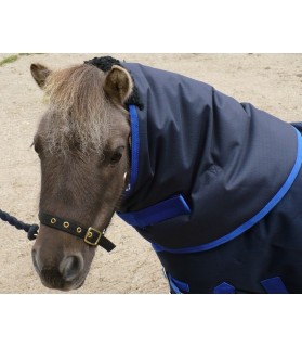 couvre_cou_bleu-shetland_poney_lahalleauxminis