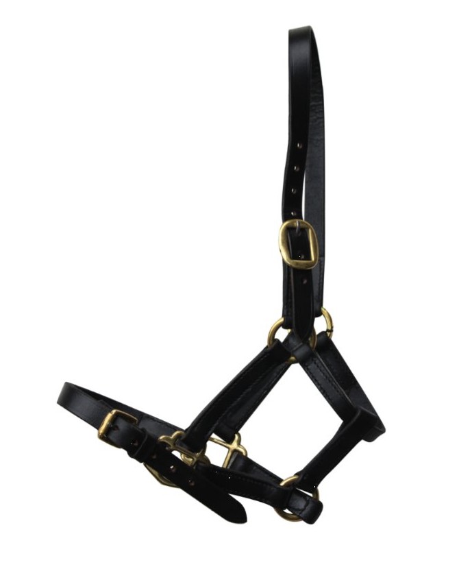 JHLH3_licol-cuir-miniature_lahalleauxminis
