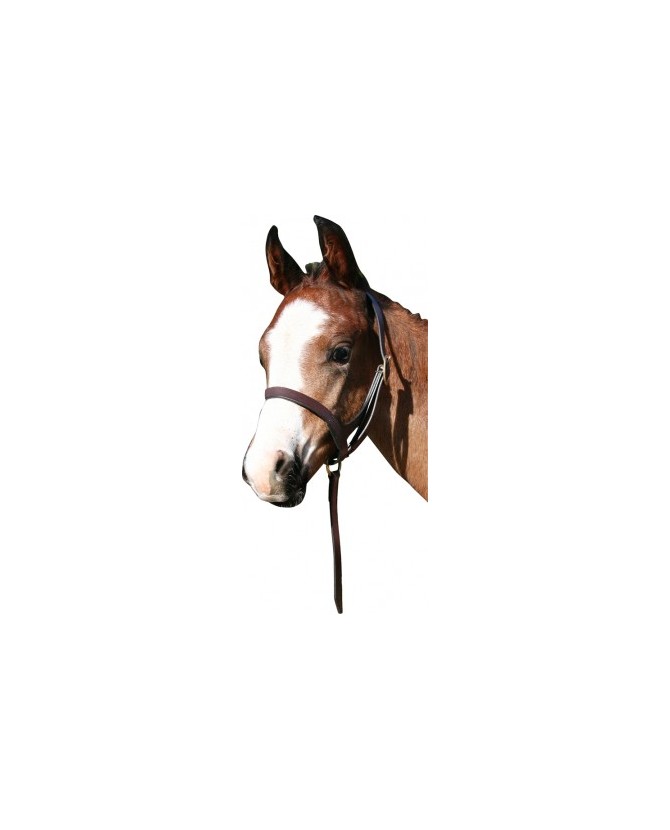 JHLH4_licol_cuir_shetland_lahalleauxminis