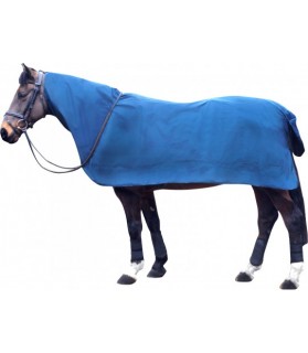 RG25_chemise_coupe_vent_bleu_lahalleauxminis