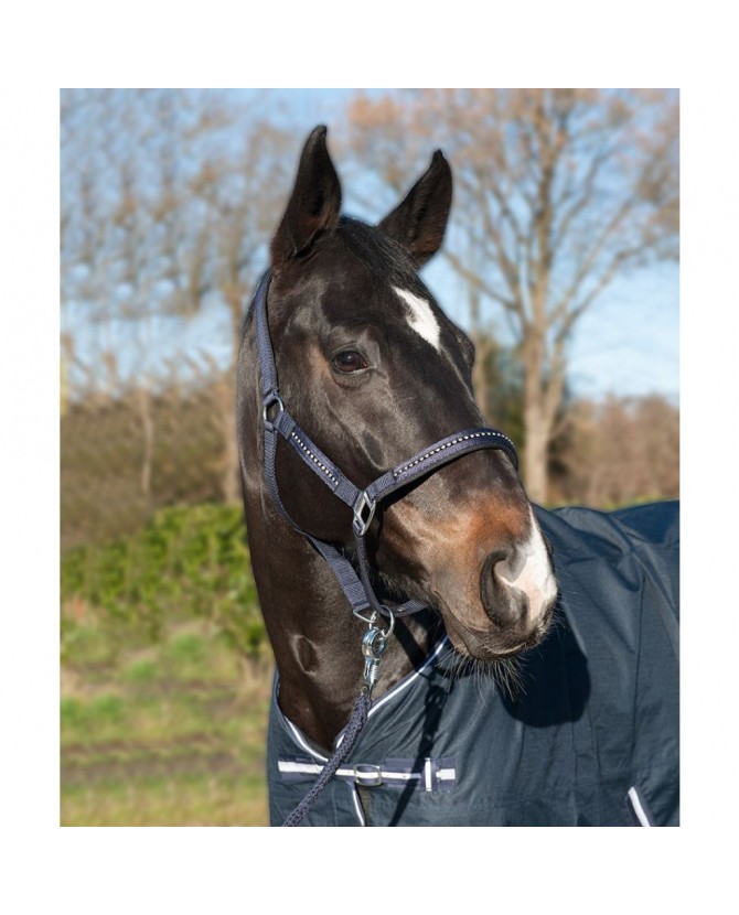 3987_Licol_strass_poney_violet_lahalleauxminis