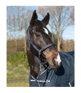3987_Licol_strass_poney_violet_lahalleauxminis