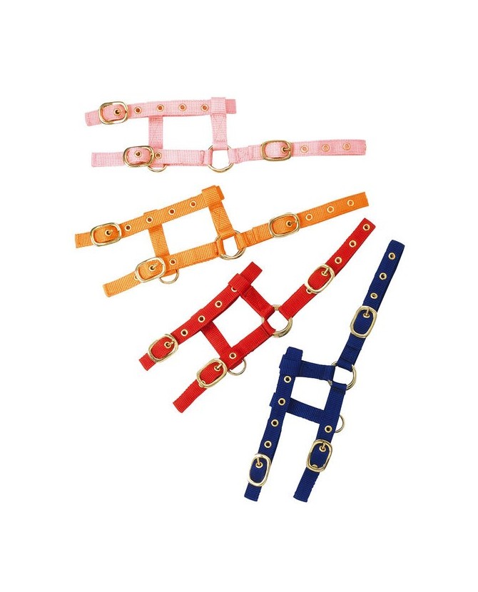 510033_Licol_nylon_poulain_mini_lahalleauxminis