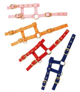 510033_Licol_nylon_poulain_mini_lahalleauxminis