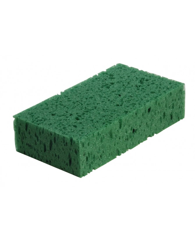 009328_eponge_lahalleauxminis