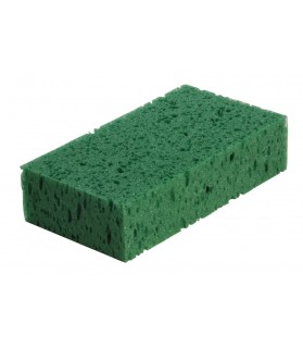 009328_eponge_lahalleauxminis